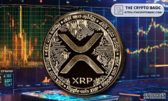 <b>顶级专家表示，选择 XRP 周期而非噪音，选择自律</b>