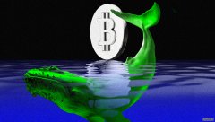 <b>数据显示，比特币“巨鲸”大量囤积行为实际上</b>