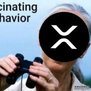 <b>XRP 2026 年价格预测：Ripple 与亚马逊悄然合作</b>