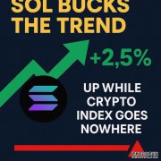 <b>SOL逆势上涨：上涨2.5%，而加密货币指数却毫无起</b>