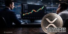<b>XRP价格上涨改变了“大型”投资组合的定义——</b>