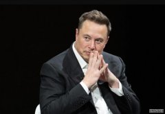 <strong>埃隆·马斯克在达沃斯论坛上：特斯拉（</strong>