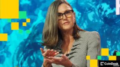 <strong>Cathie Wood 旗下的 ARK Invest 提交了两只与</strong>