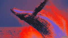 <strong>本周，巨鲸钱包将价值 3.97 亿美元的 ET</strong>