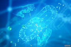 <strong>加密货币市场回顾：比特币 (BTC) 的陨落之</strong>