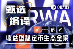 <strong>RWA爆发之后：价值捕获如何在不同角色间</strong>