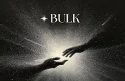 <strong>种子轮融资800万美元，Bulk Trade凭什么生闯</strong>