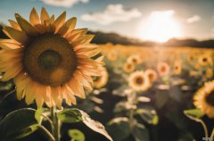 <strong>厦门银行营收、净利“双增”，贷款增超</strong>