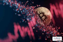 <strong>为什么比特币价格上涨总是同时发生，而</strong>