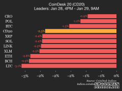 <strong>CoinDesk 20 指数表现更新：所有成分股均下</strong>