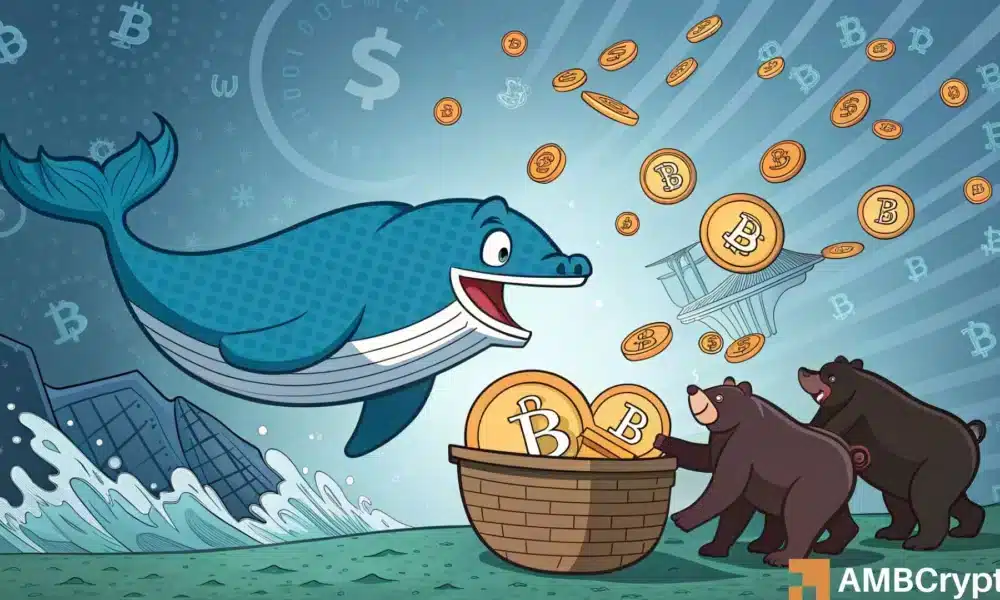 <b>比特币：巨鲸斥资 8900 万美元买入，能否帮助比</b>