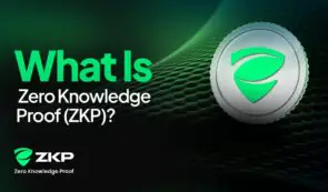 <strong>零知识证明 (ZKP) 已投入 1 亿美元，正在重</strong>