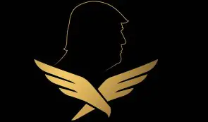 <b>国会就WLFI涉嫌与阿联酋有关的投资索赔展开新调</b>