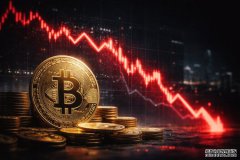 <b>ETF 资本的不可抗力 比特币：新一轮崩盘即将来临</b>