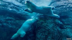 <strong>以下是业内资深人士对比特币跌破 7 万美</strong>