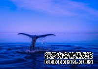 <b>潮水褪去后，真正能打的币圈项目还剩多少_区块</b>